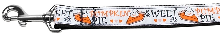 Pumpkin Pie Nylon Dog Leash 3/8 inch wide 4ft Long